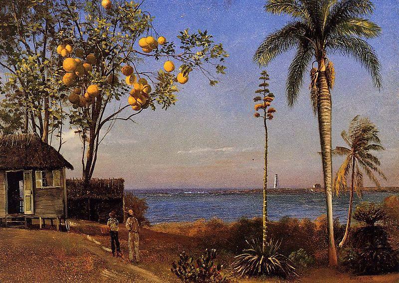 Albert Bierstadt A View in the Bahamas china oil painting image